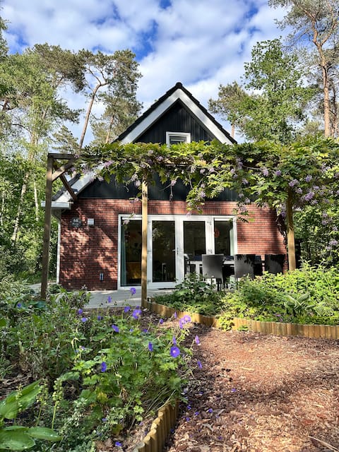 Forest lodge Veluwe - Holiday home Vliegend Hert