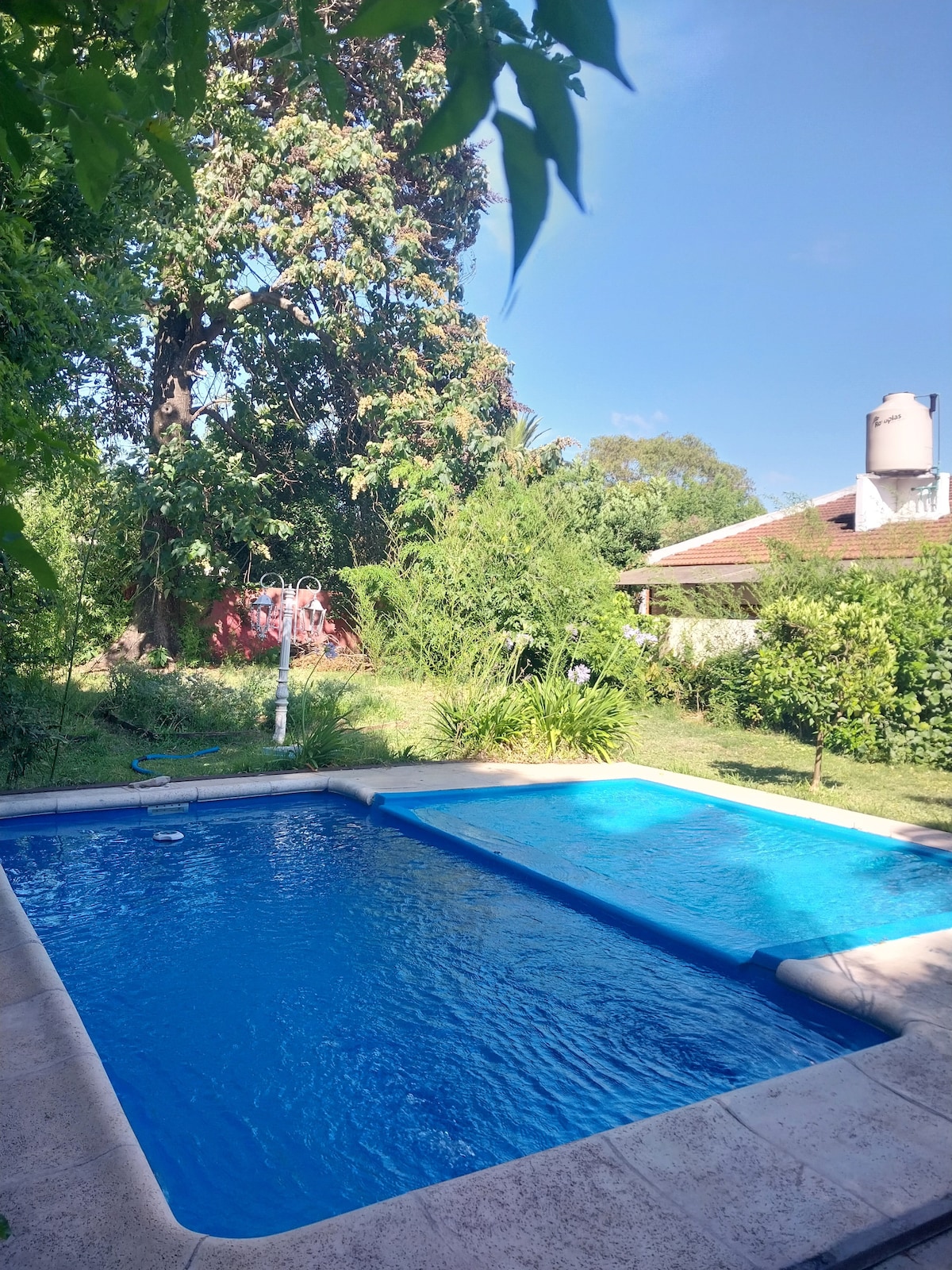 A spacious swimming pool is surrounded by lush greenery, featuring a bright blue surface under sunlight. Trees provide shade along the edges, while a well-maintained garden is visible in the background, enhancing the outdoor ambiance.