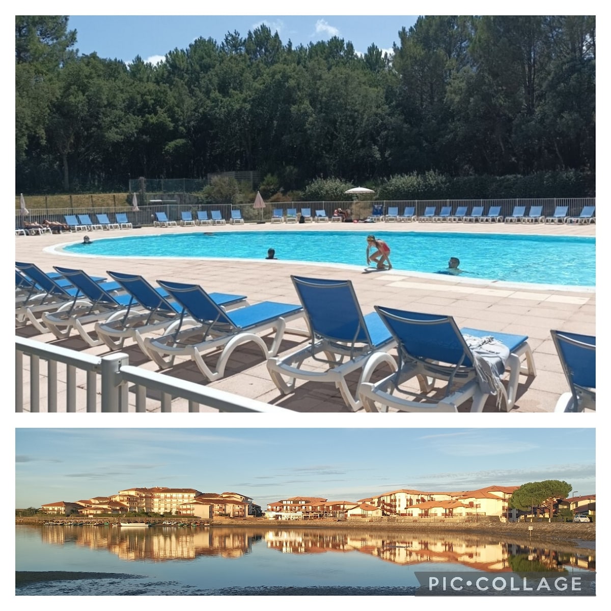 A heated swimming pool is surrounded by blue lounge chairs, with guests enjoying the water. In the background, a serene view of trees borders the area. Below, a tranquil reflection of buildings on the water creates a peaceful scene.