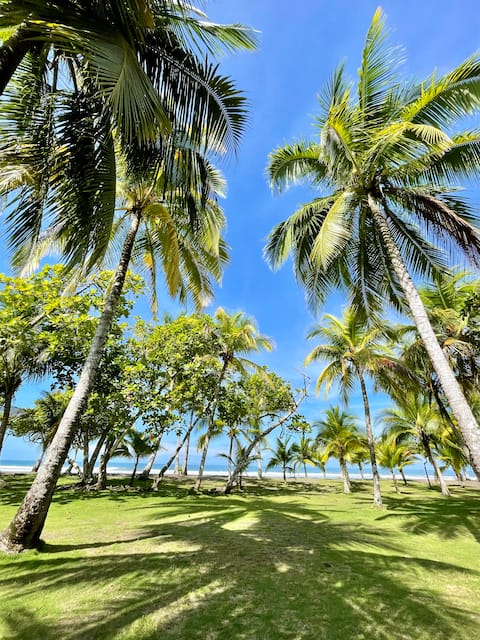 Oceanfront GEM Owners Villa April-August discounts