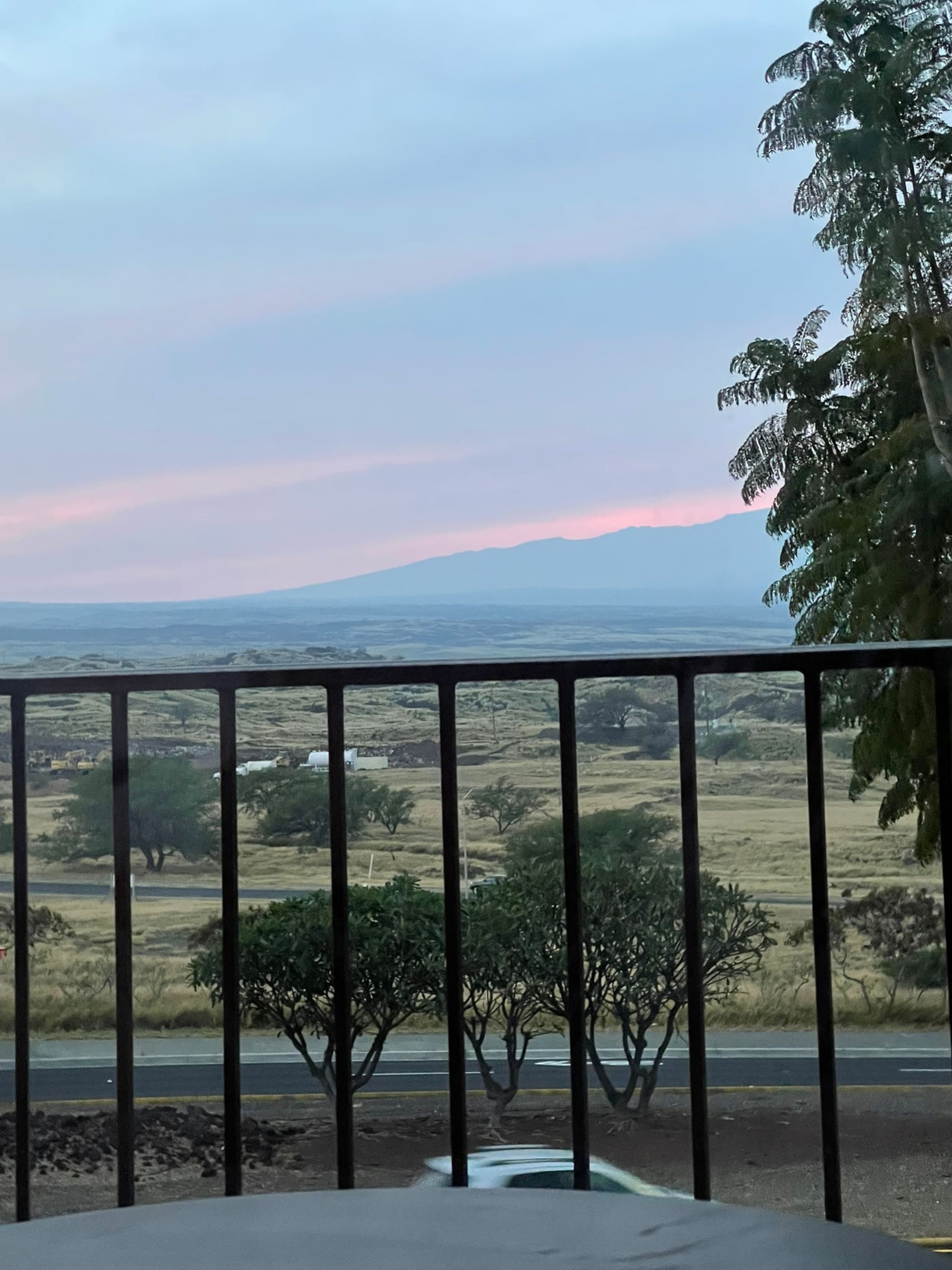 Hawaiian Hub - Photo 30