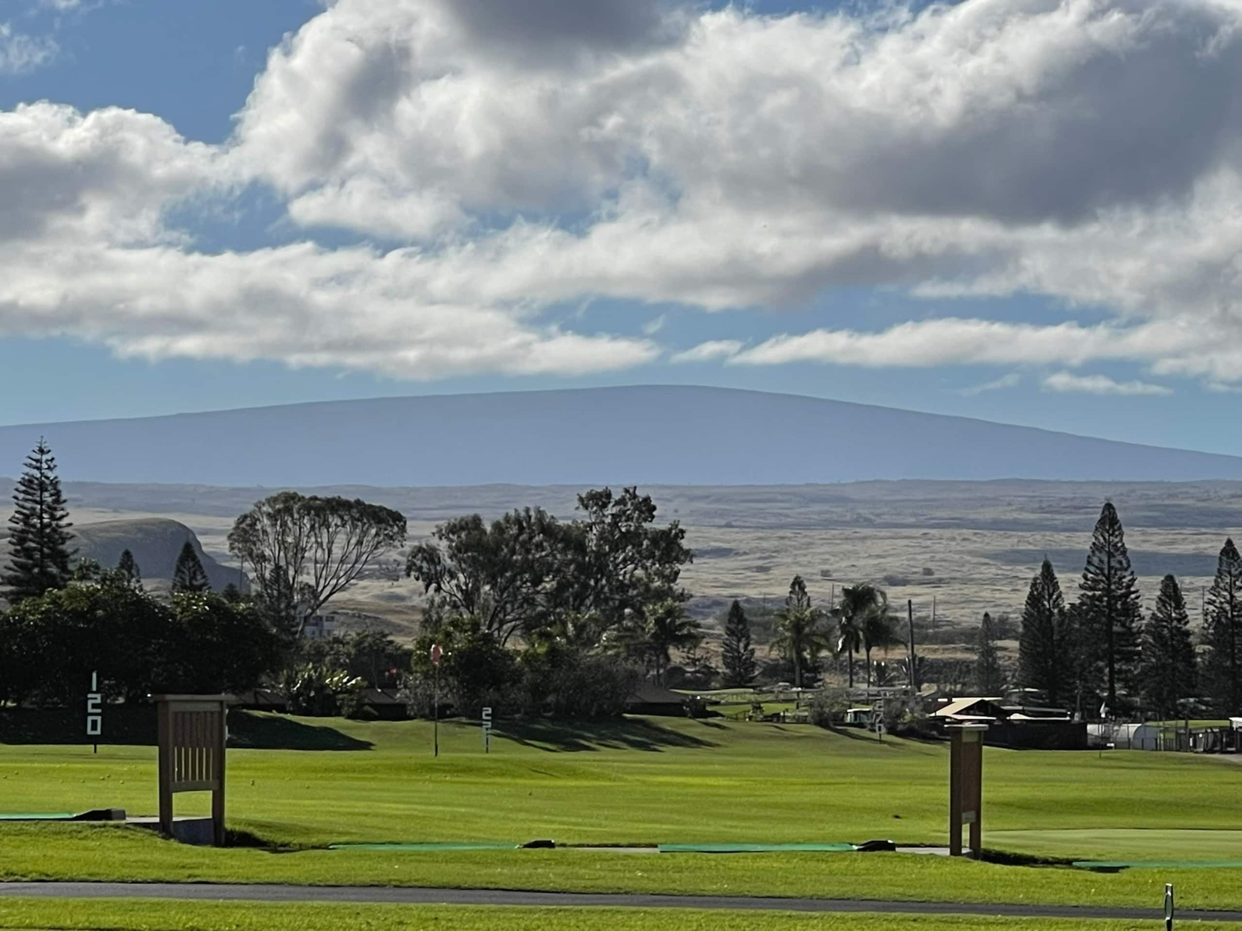 Hawaiian Hub - Photo 22