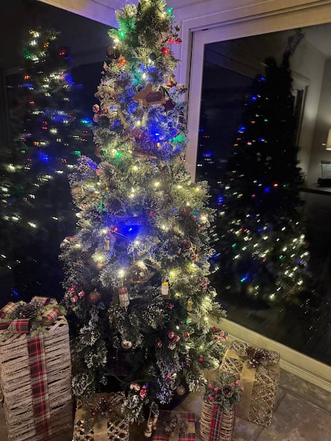 Christmas on Smith Lake