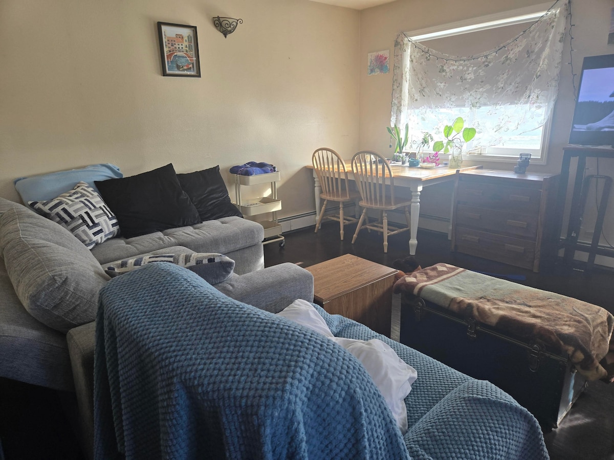 A comfortable living area features a large sectional sofa topped with a light blue throw. A dining table with four chairs is visible in front of a window adorned with light sheer curtains. A television is positioned against a nearby wall, surrounded by decorative elements.