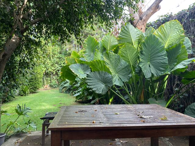 Casa muy grande 3 habitaciones 4 baños completos gallery image 4