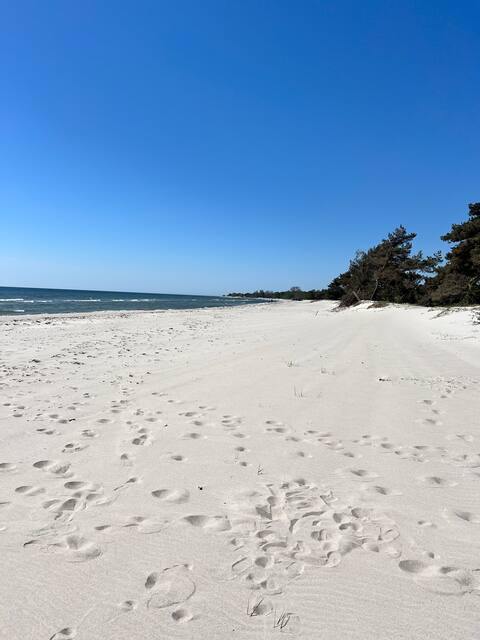 Cottage near the beach Beddingestrand