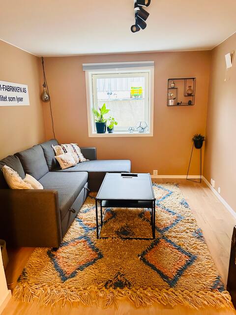 Beautiful spacious apartment
