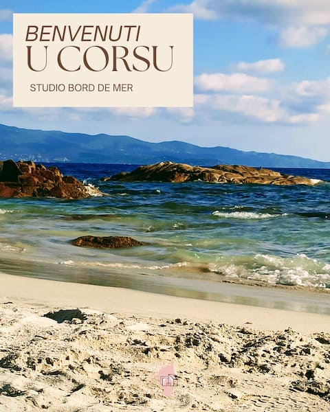 "U Corsu", the cozy studio