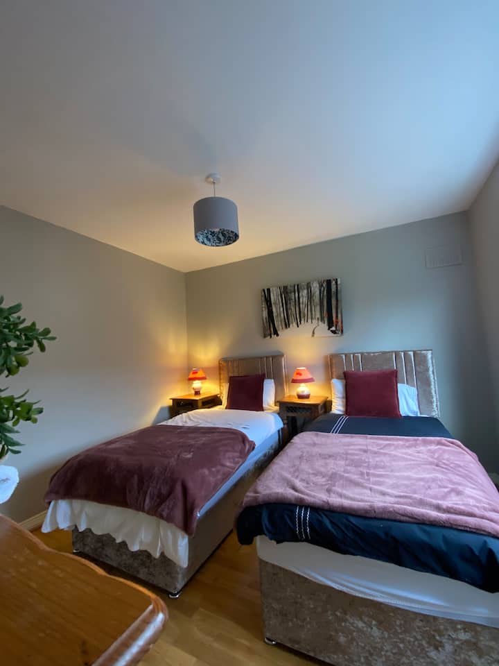 Twin Room ( 2 standard single beds overlooking back garden)