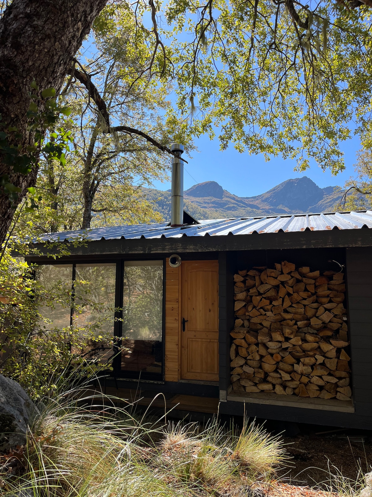 A rustic cabin features a wooden door leading into its interior. Stacked firewood is neatly arranged beside the entrance, under a metal roof. Tall trees provide shade, while mountains can be seen in the background against a clear blue sky.