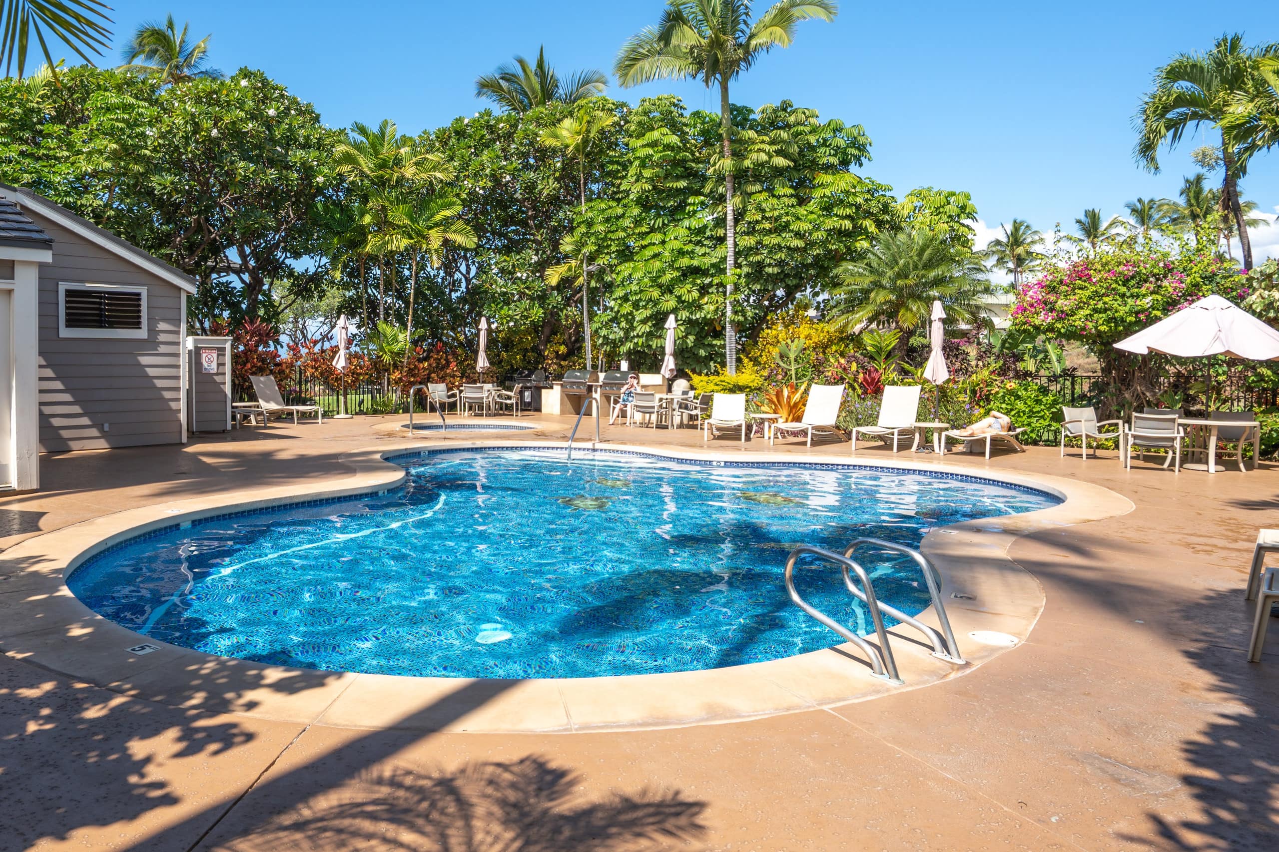 Condo in Wailea · ★4.98 · 1 bedroom · 1 bed · 2 baths - Image 38