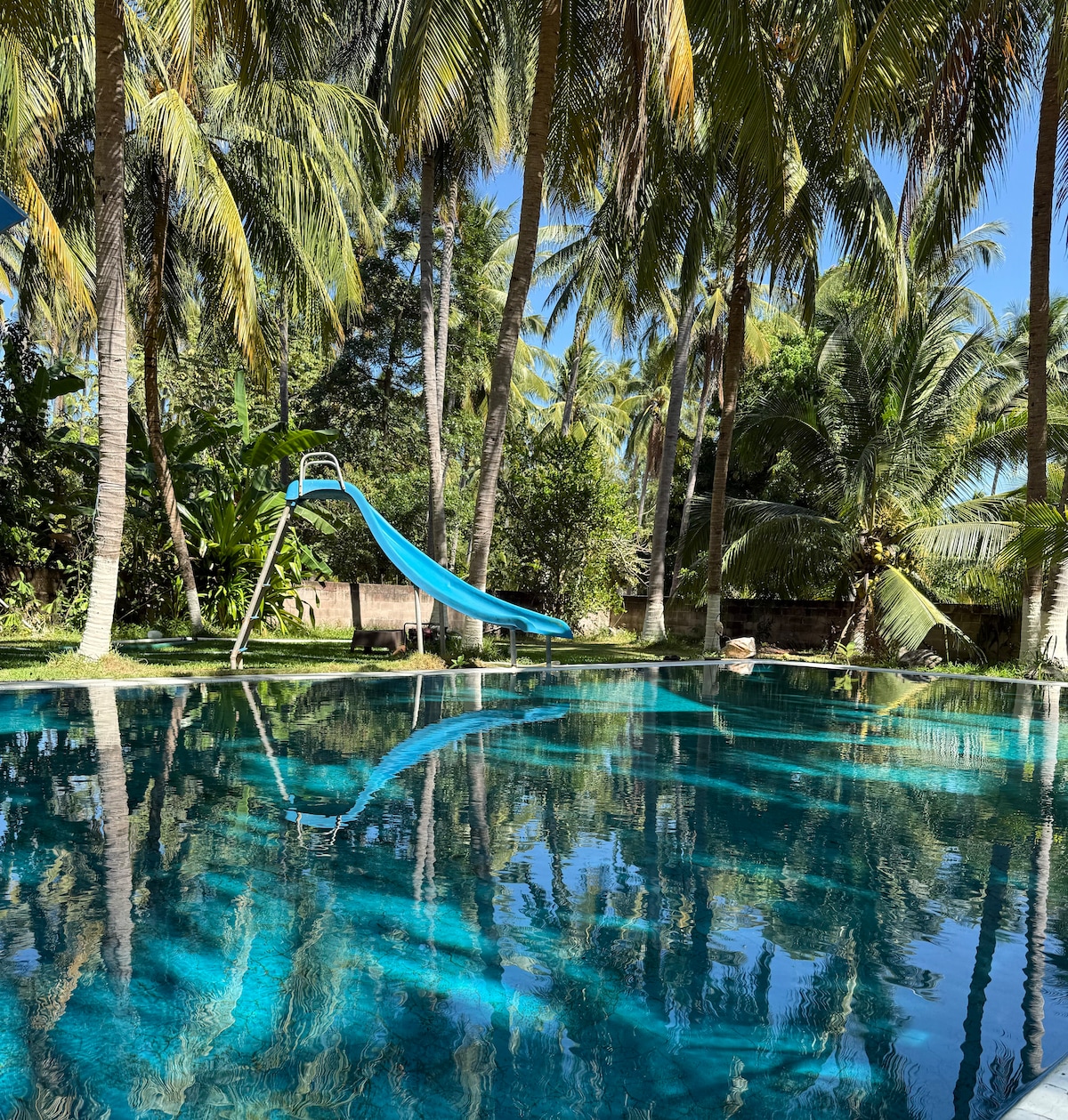A vibrant swimming pool is surrounded by tall palm trees, casting reflections on the water's surface. A colorful slide is positioned nearby, providing an inviting spot for outdoor fun. Lush greenery enhances the tropical atmosphere of the relaxing space.