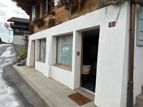 Nice 2 rooms in the center of Gryon