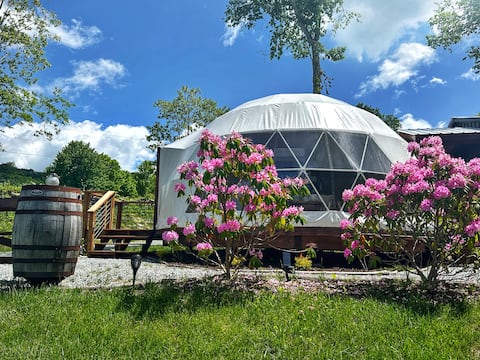 Top performing Airbnb: Luxury Geodome, Winery view, Hot tub in Banner Elk