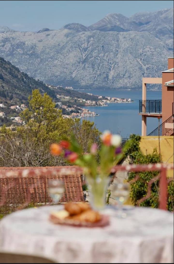Dream S&l - Kotor