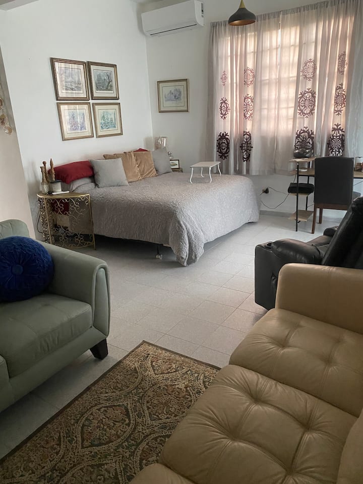 C'est un espace ouvert très confortable avec un lit king size