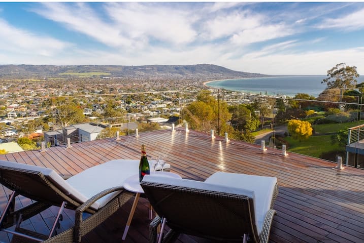 Seabird with a Seaview!