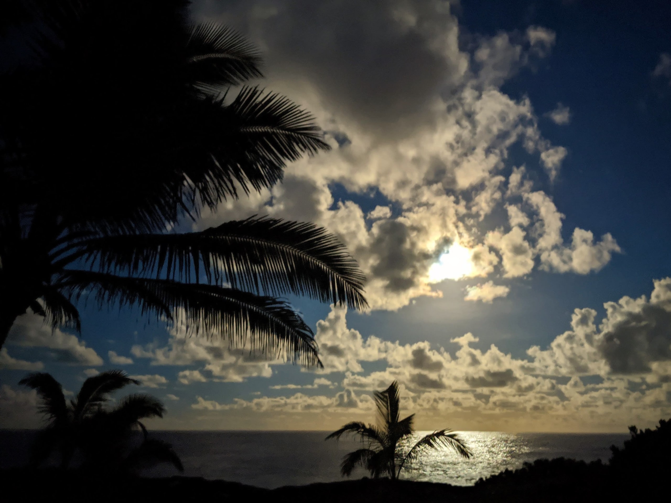 Home in Keaau · ★4.83 · 4 bedrooms · 5 beds · 4 private baths - Image 56