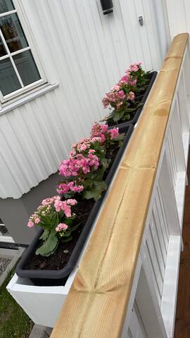 Nyoppusset hus ved Frognerparken gallery image 3