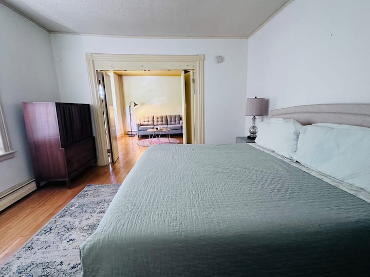Sunny 1 Bedroom Apartment Spacious Downtown - Pittsfield, MA