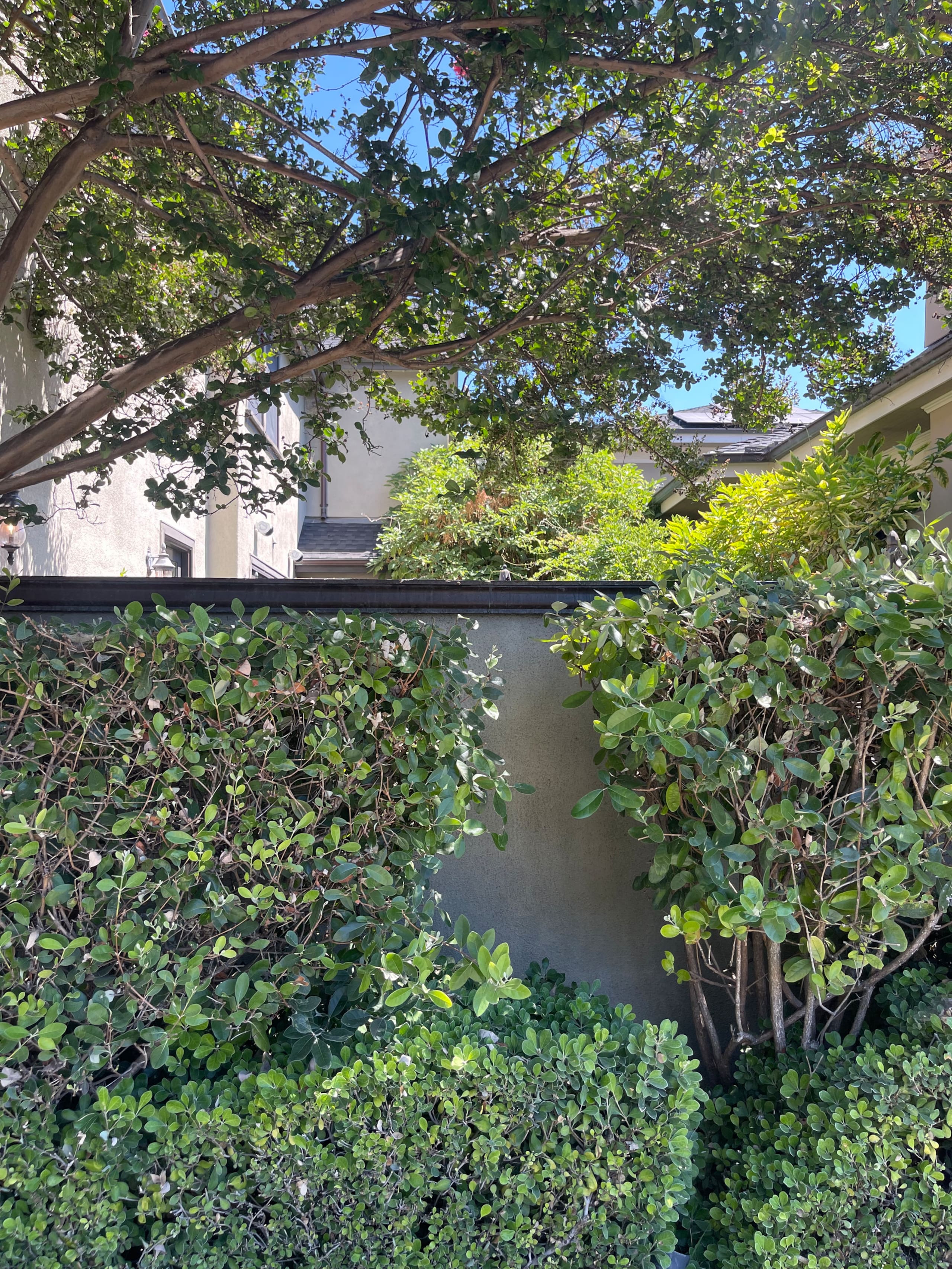 Willow Glen Home with Pool, Spa & Man Cave - Photo 154