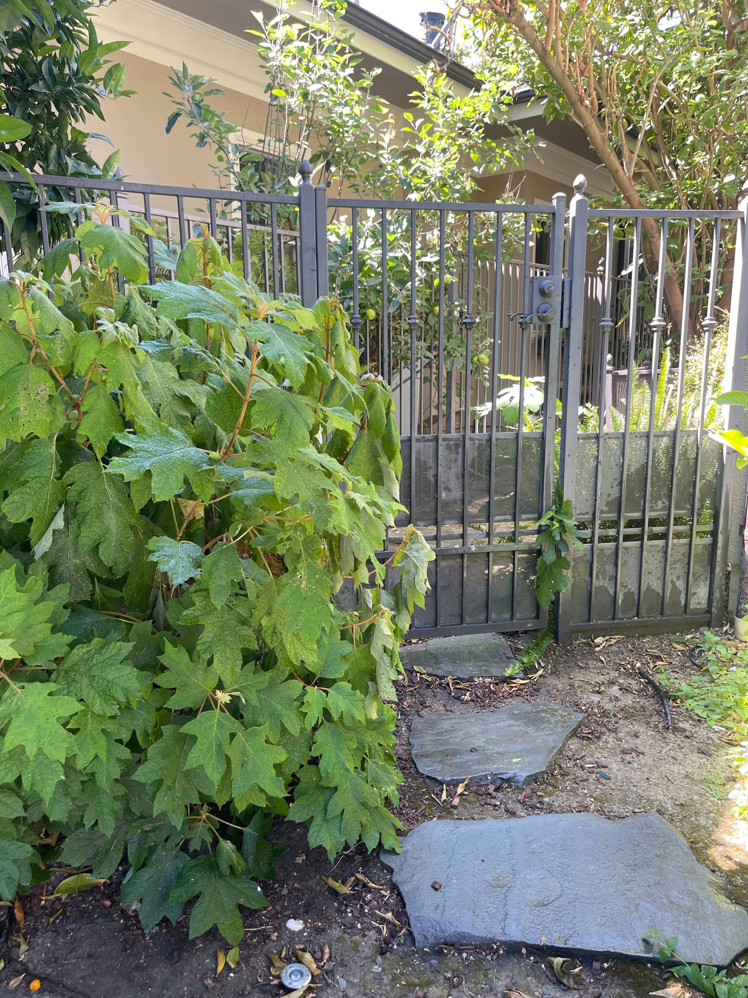 Willow Glen Home with Pool, Spa & Man Cave - Photo 161