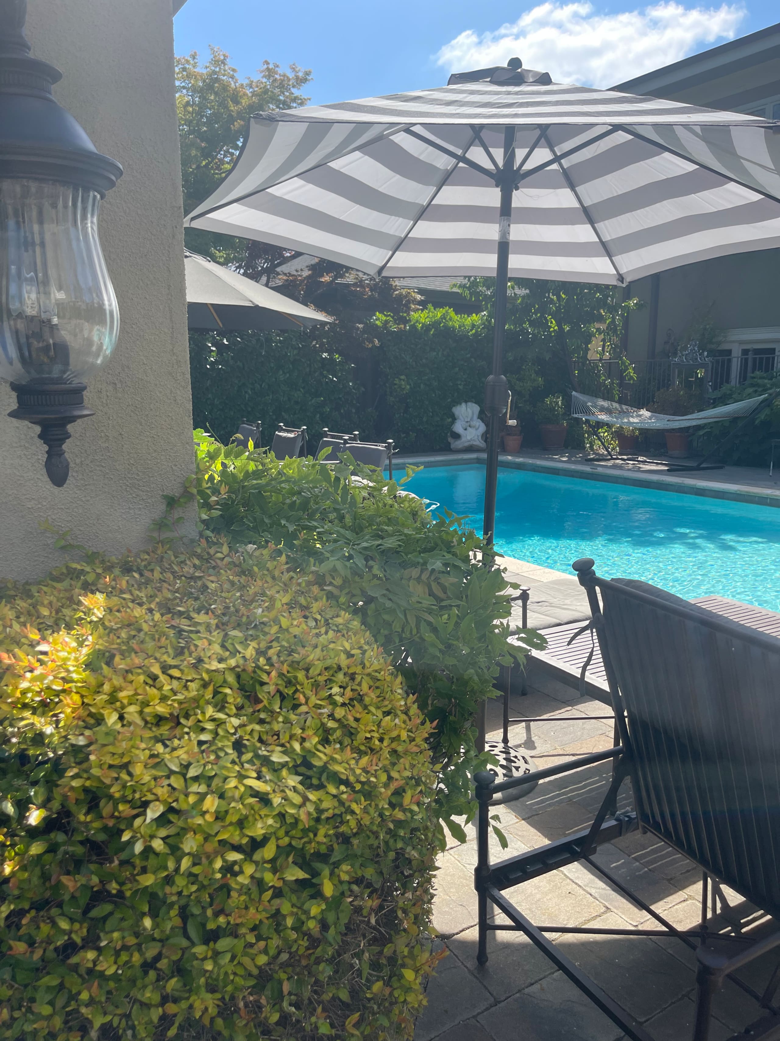 Willow Glen Home with Pool, Spa & Man Cave - Photo 205