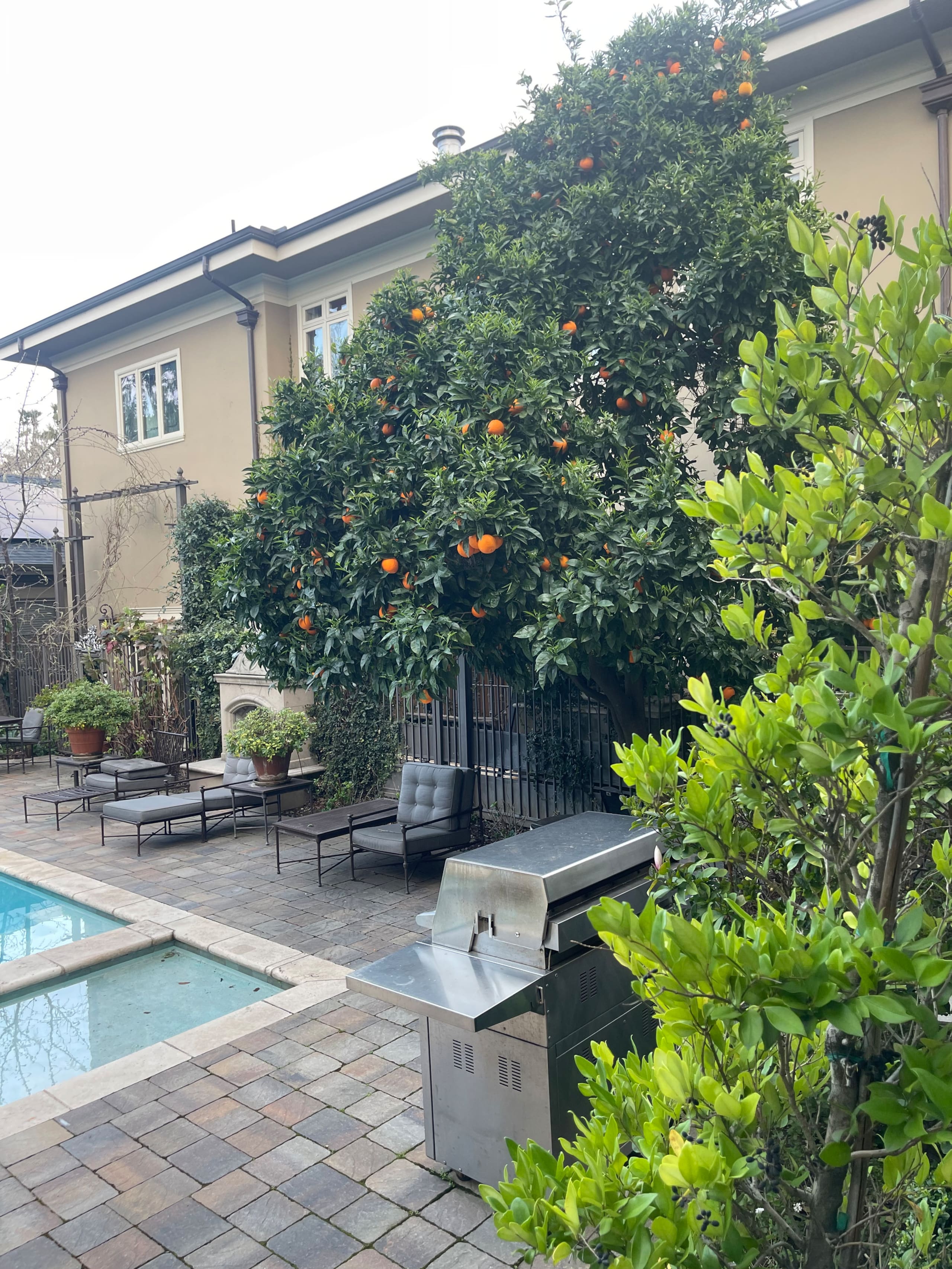 Willow Glen Home with Pool, Spa & Man Cave - Photo 175