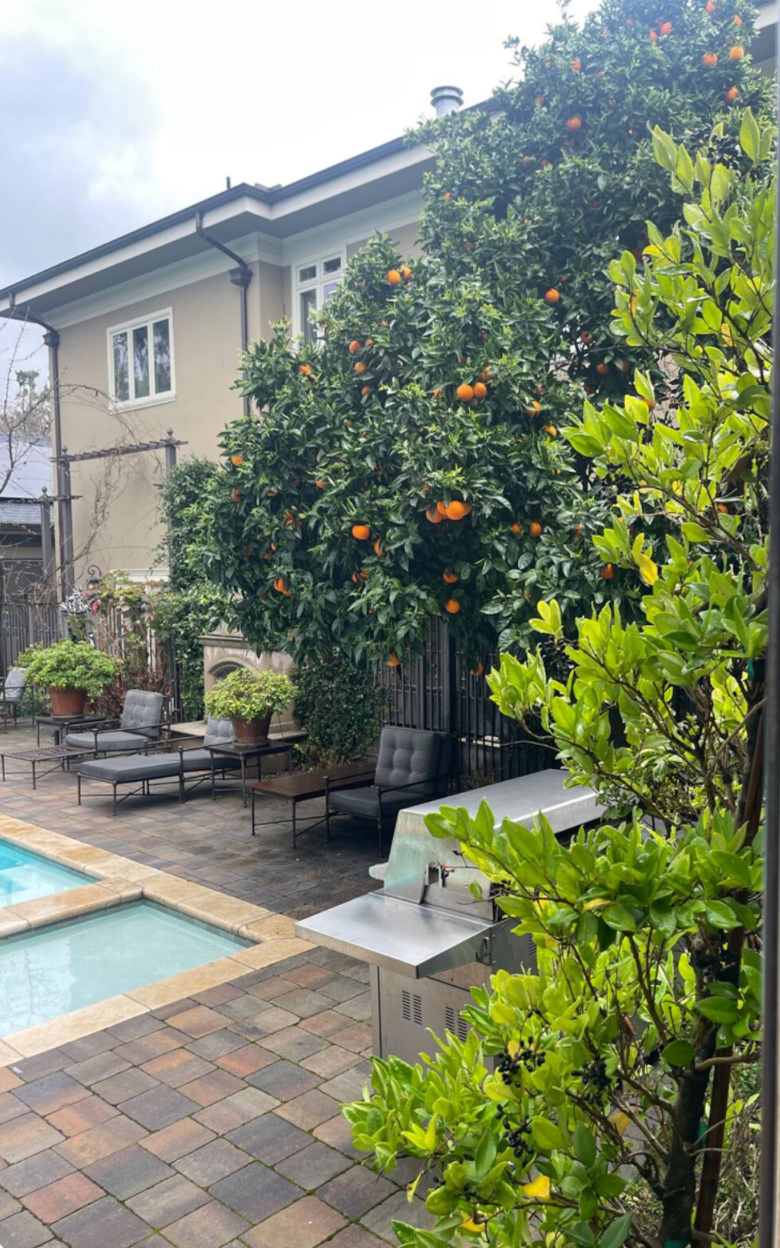 Willow Glen Home with Pool, Spa & Man Cave - Photo 104