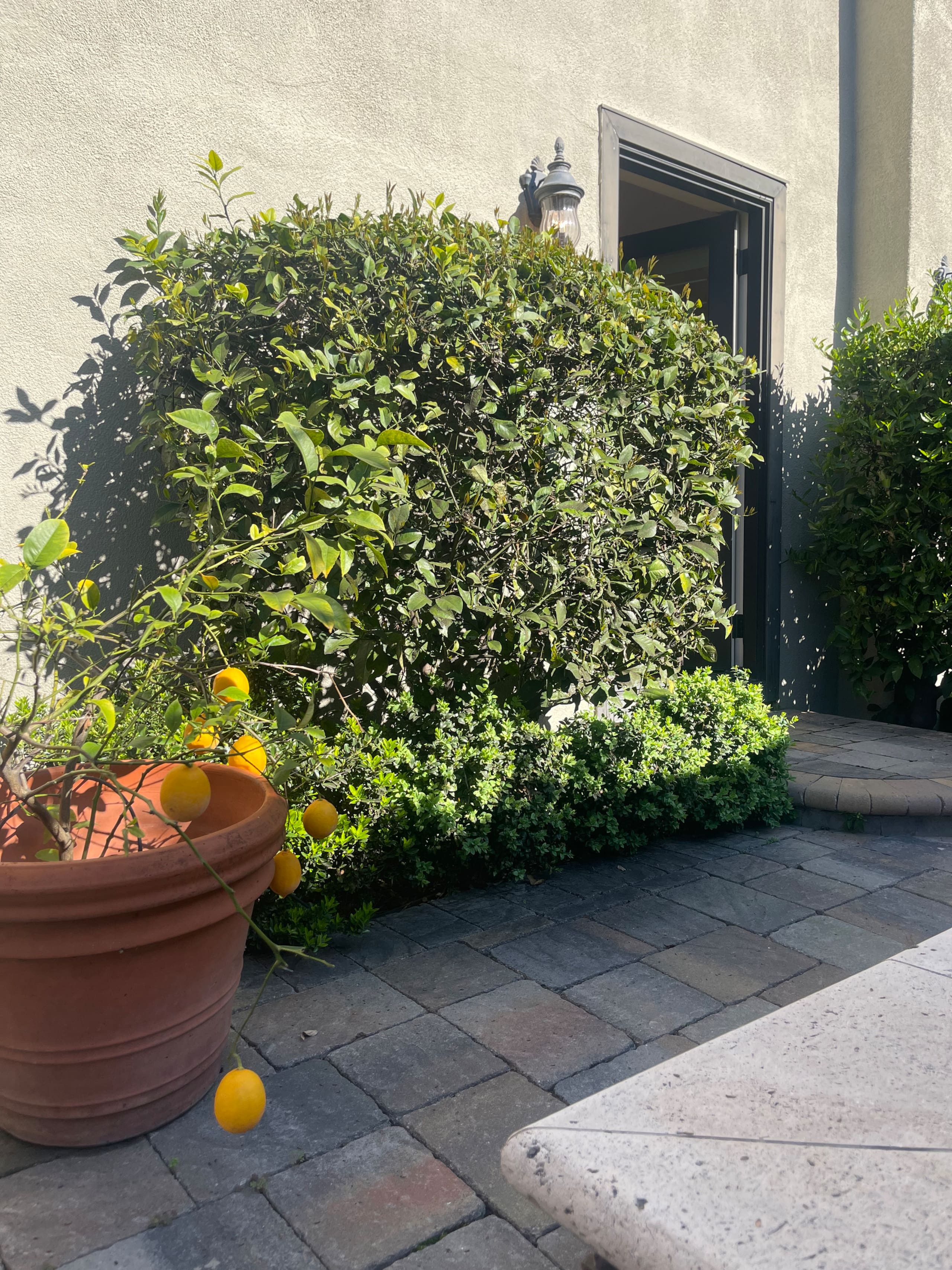 Willow Glen Home with Pool, Spa & Man Cave - Photo 133