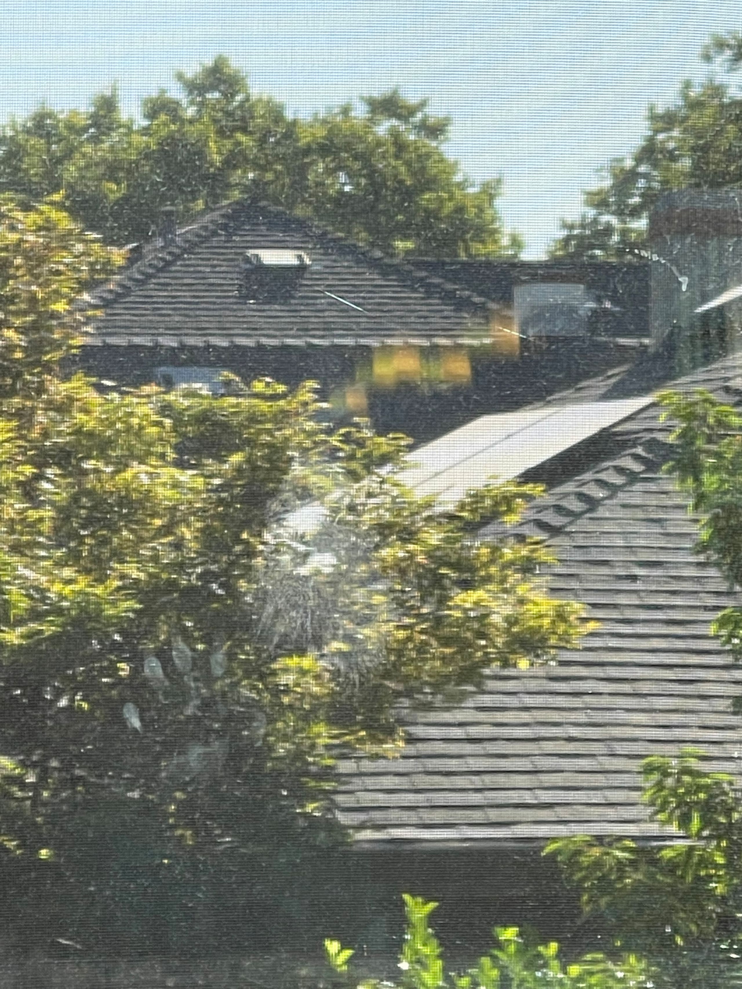 Willow Glen Home with Pool, Spa & Man Cave - Photo 92