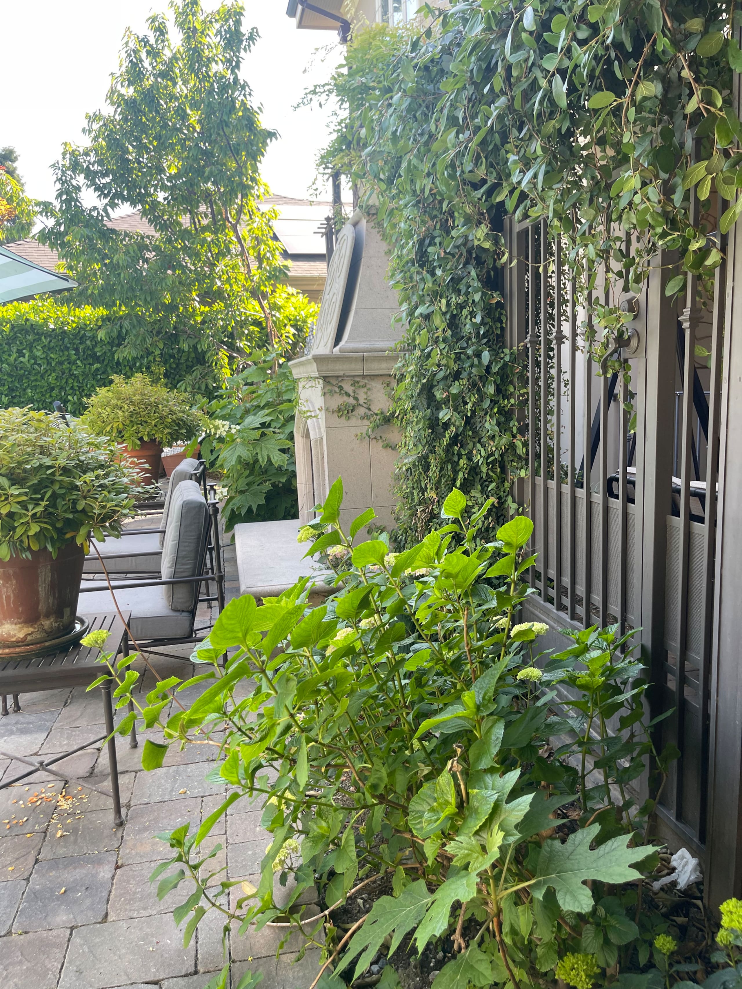 Willow Glen Home with Pool, Spa & Man Cave - Photo 182