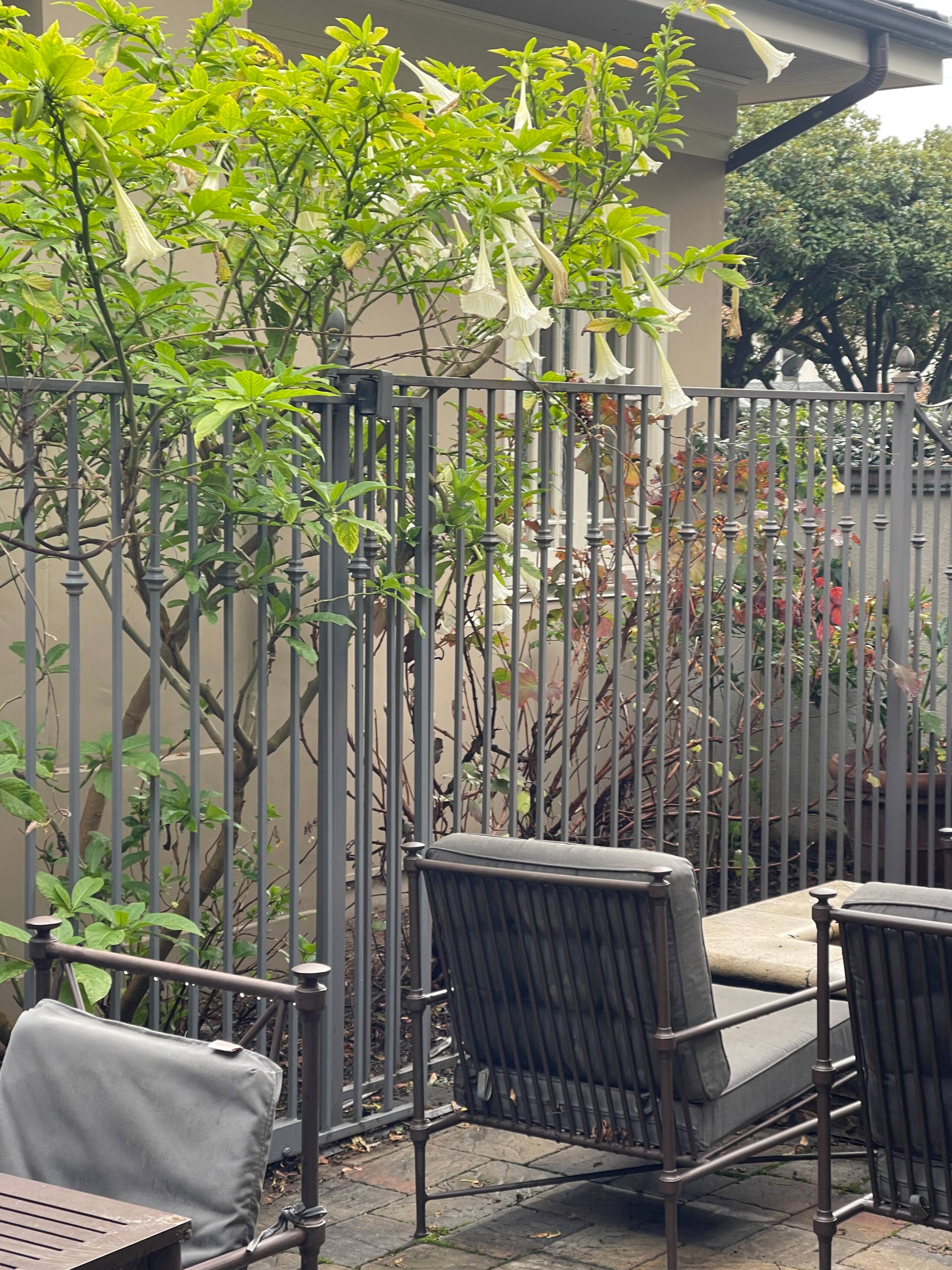 Willow Glen Home with Pool, Spa & Man Cave - Photo 126