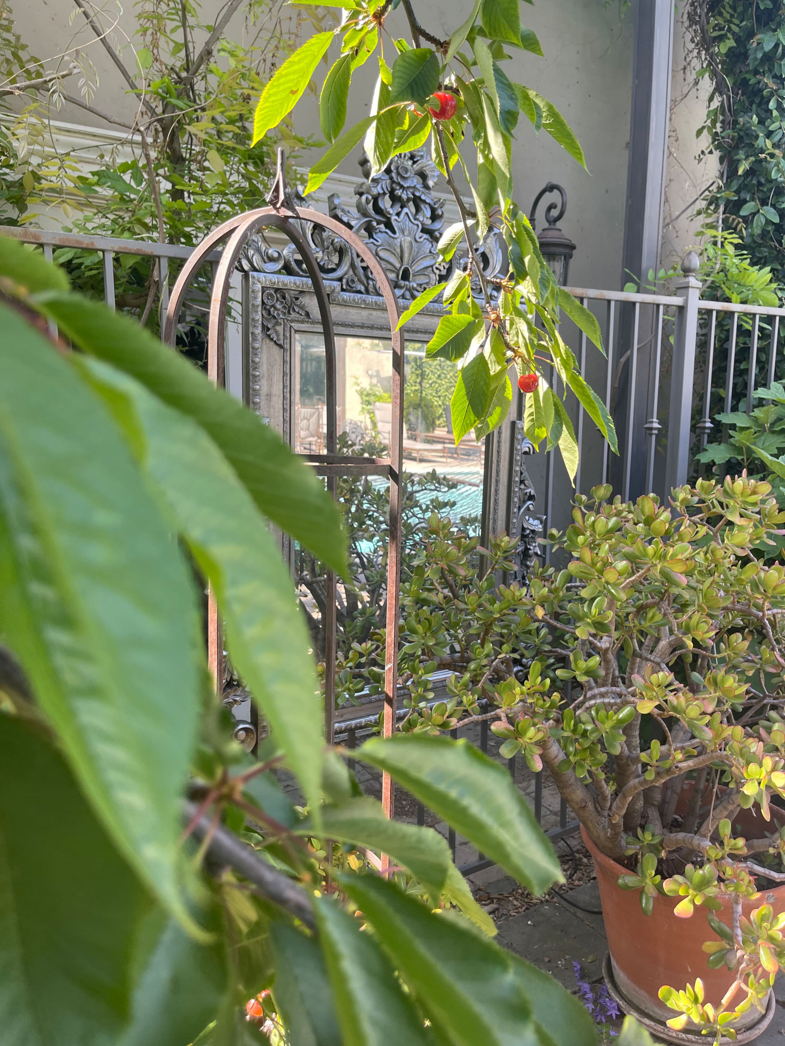 Willow Glen Home with Pool, Spa & Man Cave - Photo 183