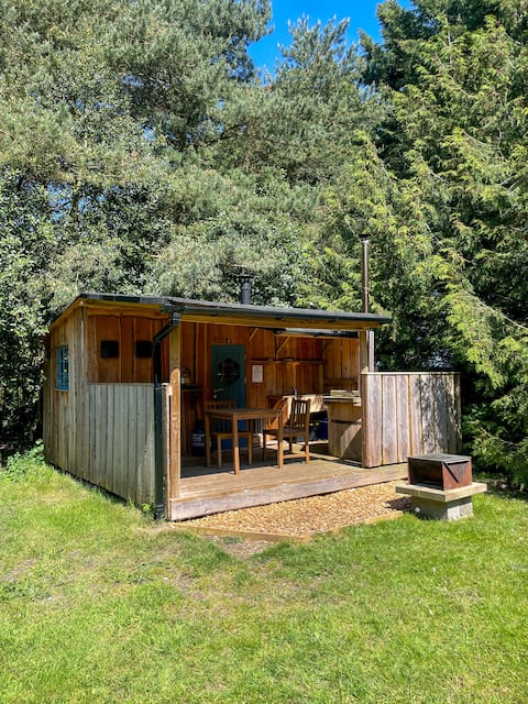 Woodpecker Blue, Lahtle Wood