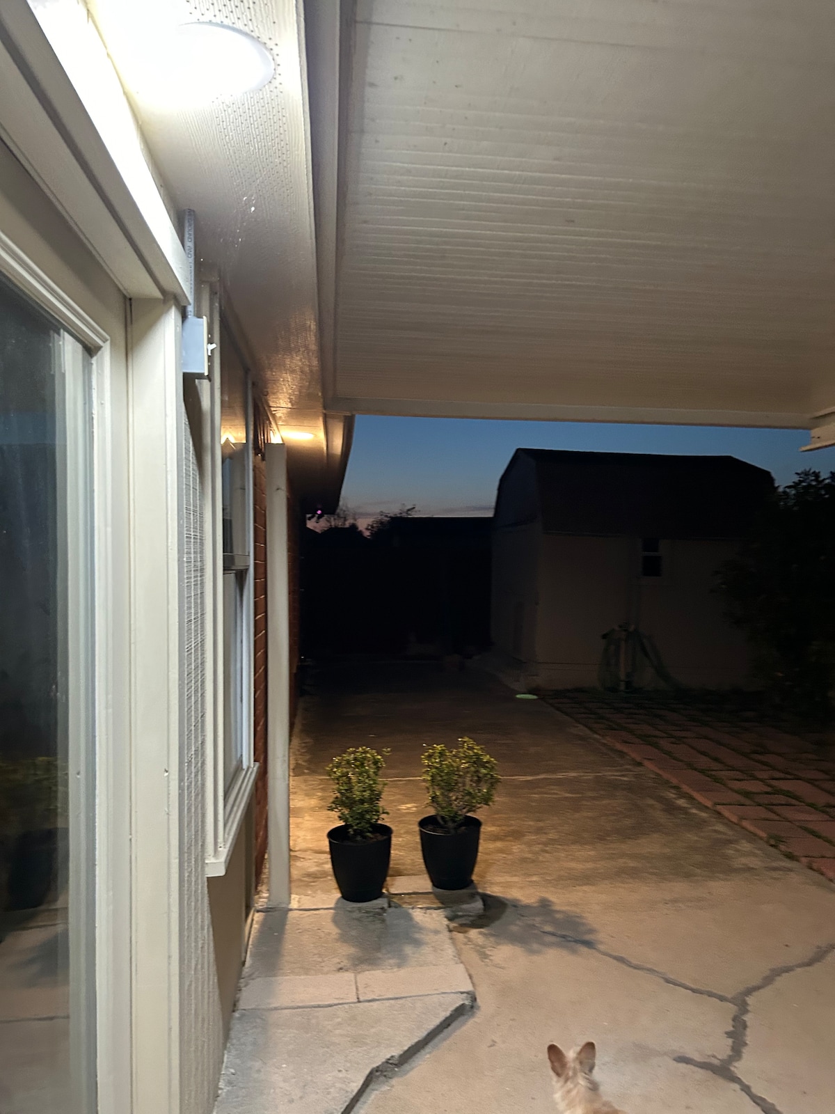 The exterior walkway is softly illuminated with wall-mounted lights, leading towards a darkened yard in the distance. Two potted plants flank the path, adding a touch of greenery. The structure features a covered overhead area, enhancing the sense of shelter.