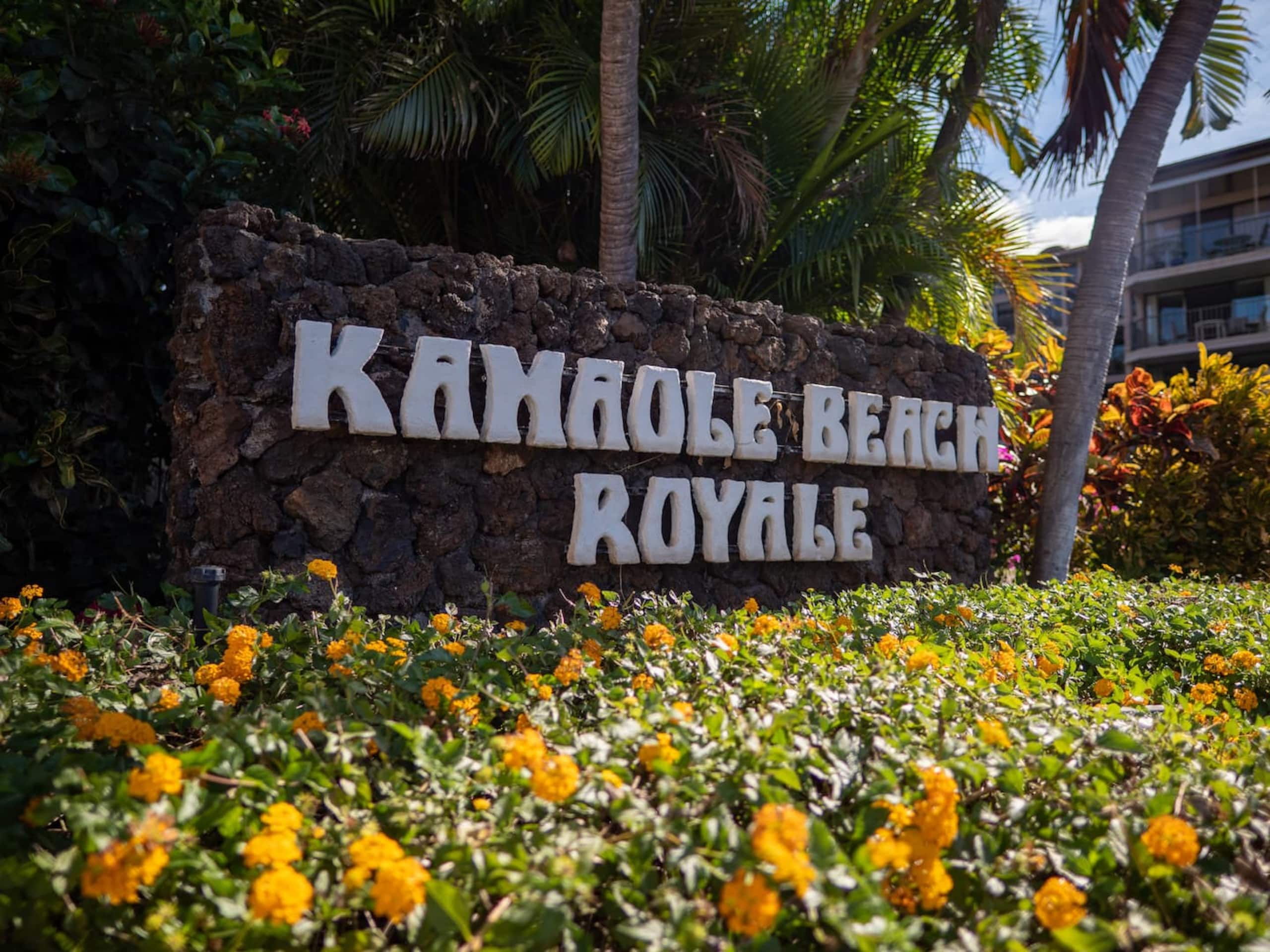 Condo in Kihei · ★4.9 · 1 bedroom · 1 bed · 1 bath - Image 26