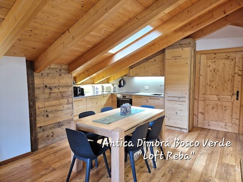 Beautiful Loft in the Dolomites