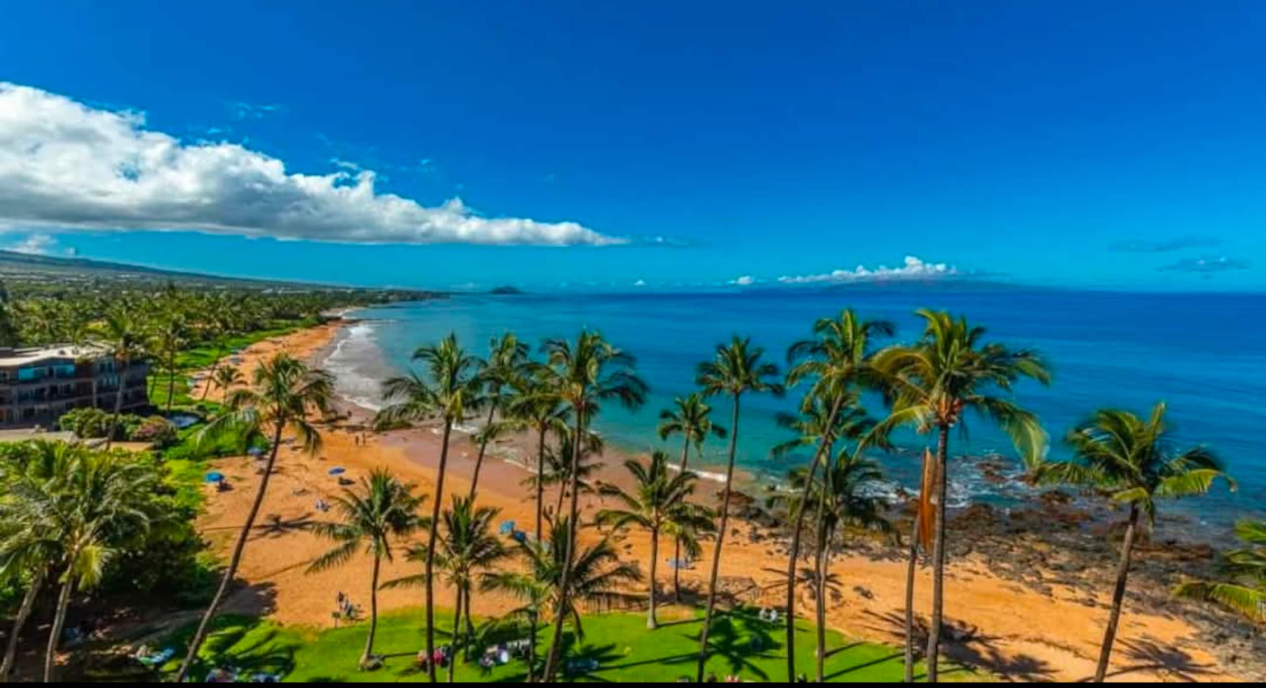 Condo in Kihei · ★5.0 · 1 bedroom · 2 beds · 1 bath - Image 39