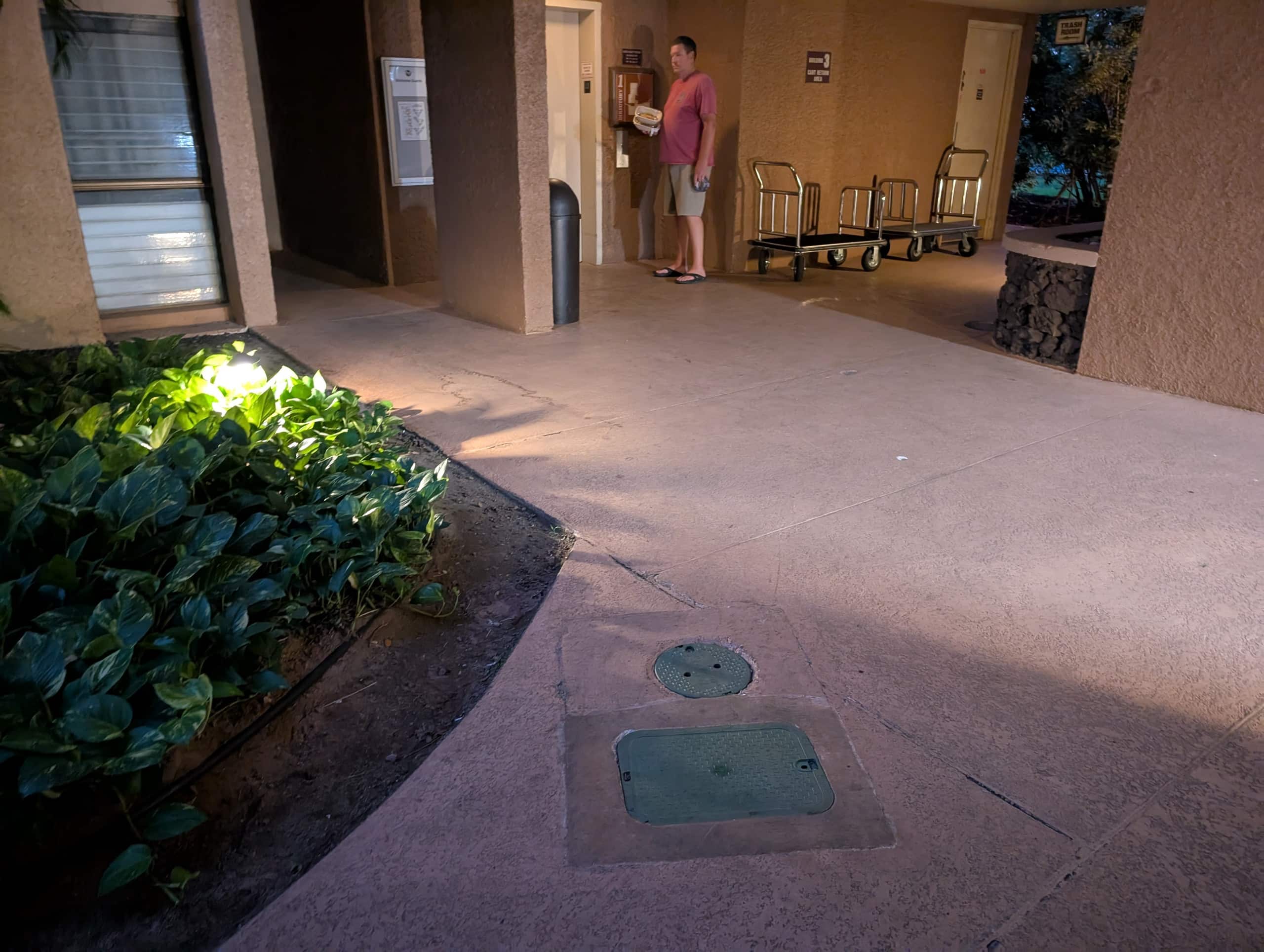 Condo in Kihei · ★5.0 · 1 bedroom · 2 beds · 1 bath - Image 62