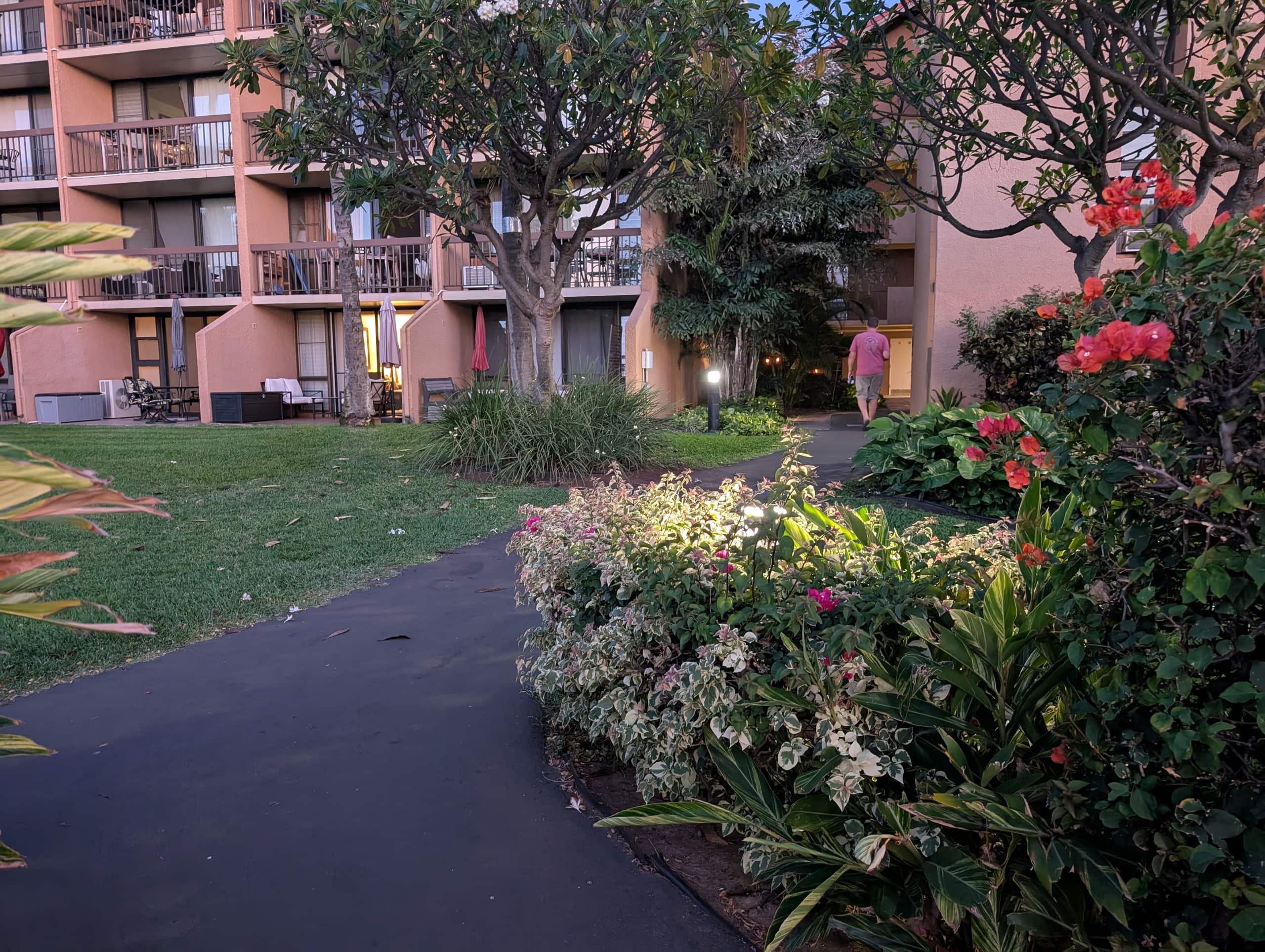 Condo in Kihei · ★5.0 · 1 bedroom · 2 beds · 1 bath - Image 63