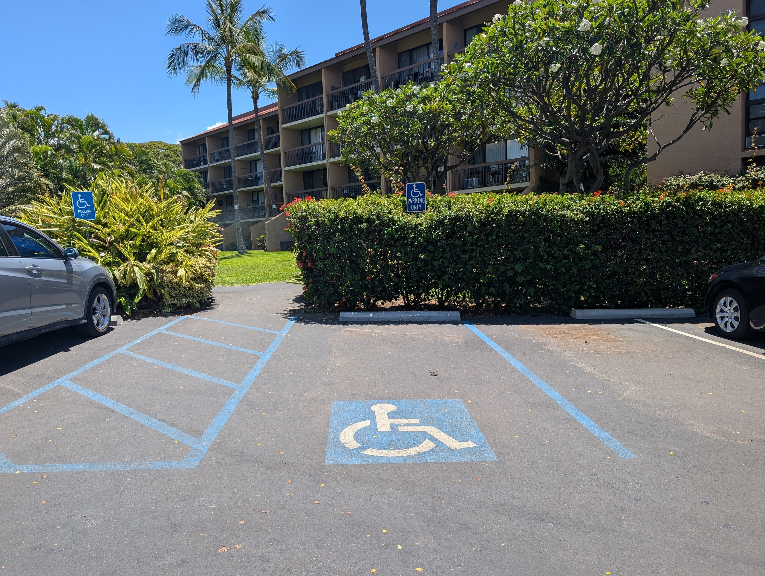Condo in Kihei · ★5.0 · 1 bedroom · 2 beds · 1 bath - Image 60