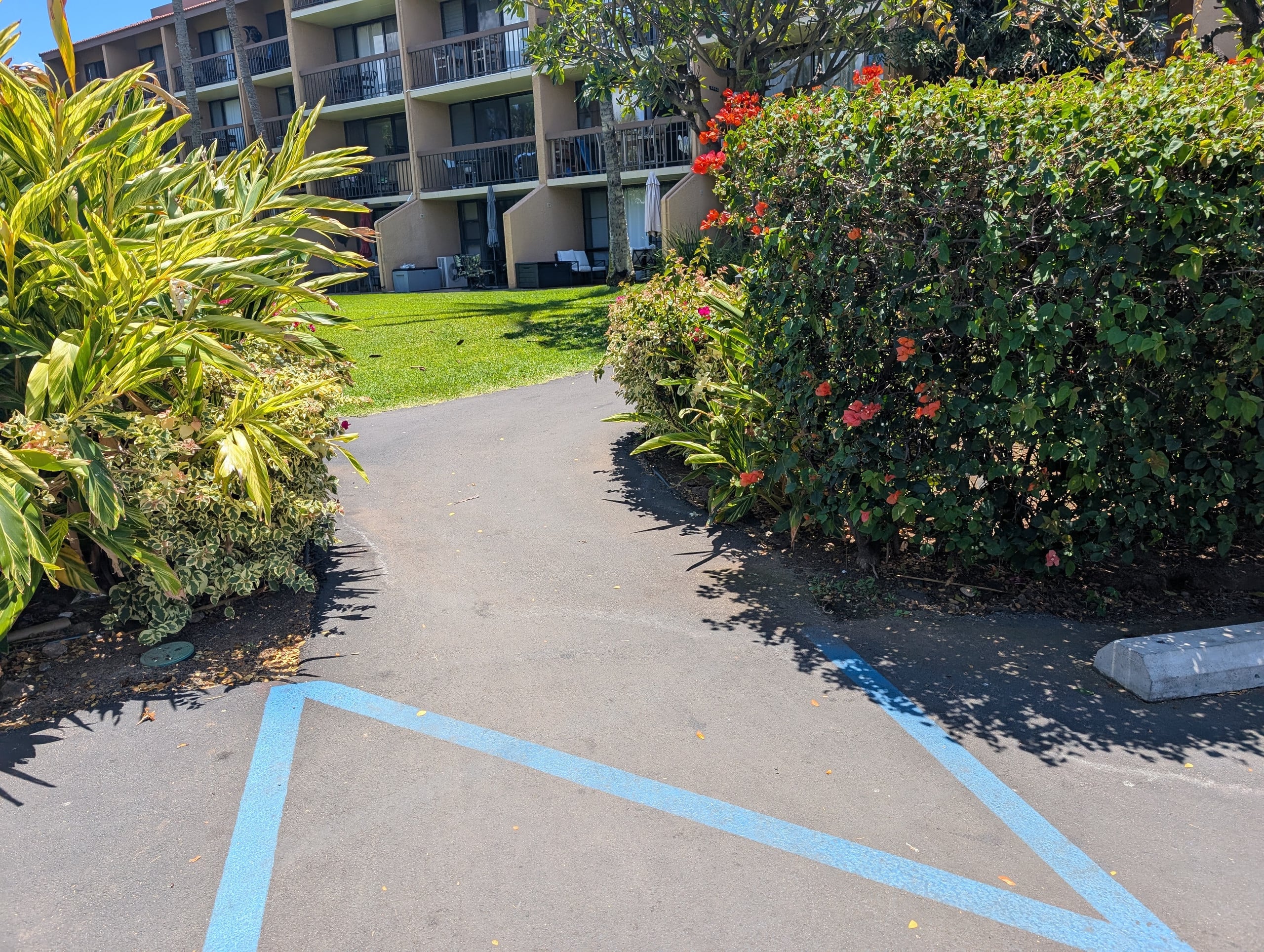 Condo in Kihei · ★5.0 · 1 bedroom · 2 beds · 1 bath - Image 61