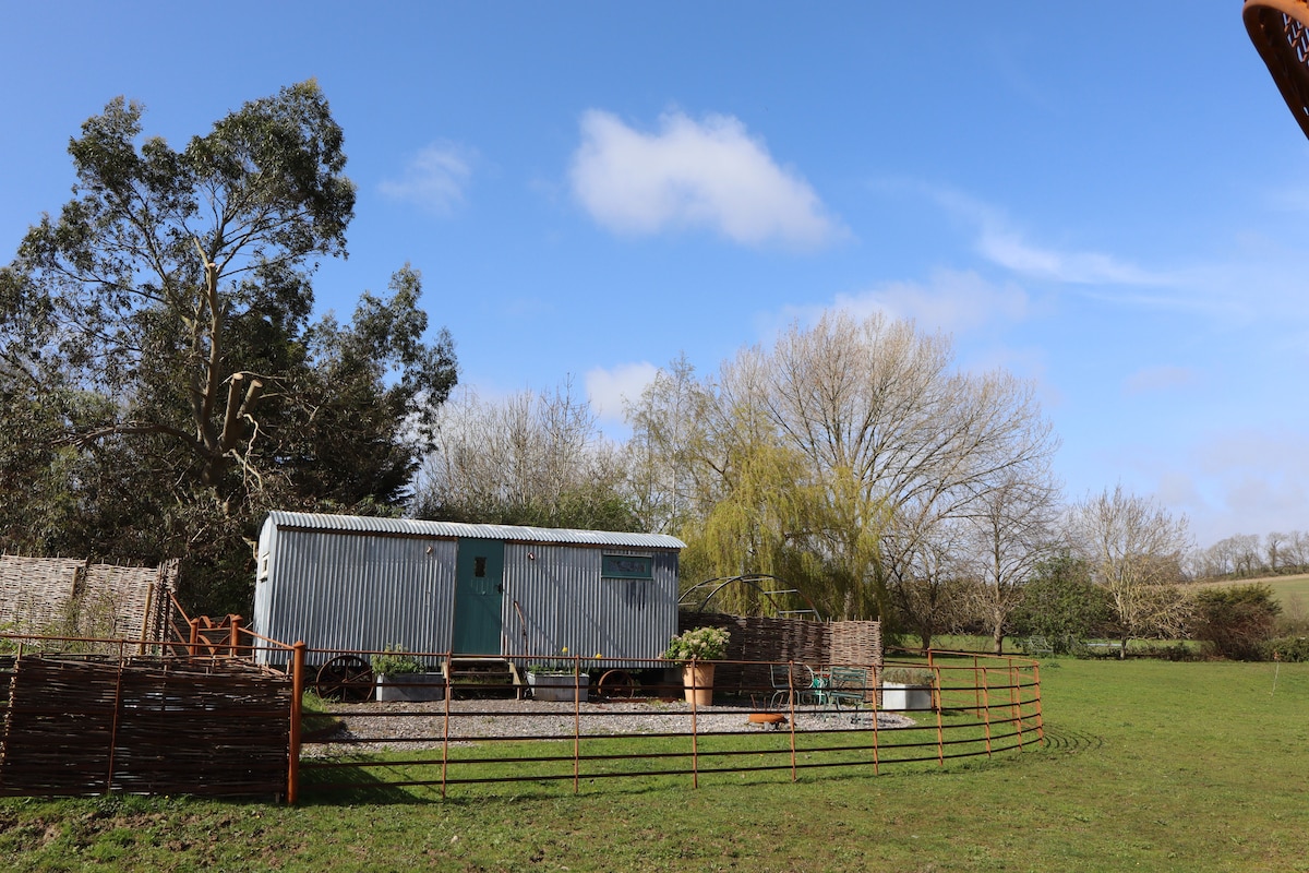 A unique shepherd hut stands on a grassy patch surrounded by trees and shrubs. A rustic fencing encloses the area, providing privacy. The hut is constructed with a metallic exterior, reflecting the blue sky above, with soft clouds adding to the serene atmosphere.