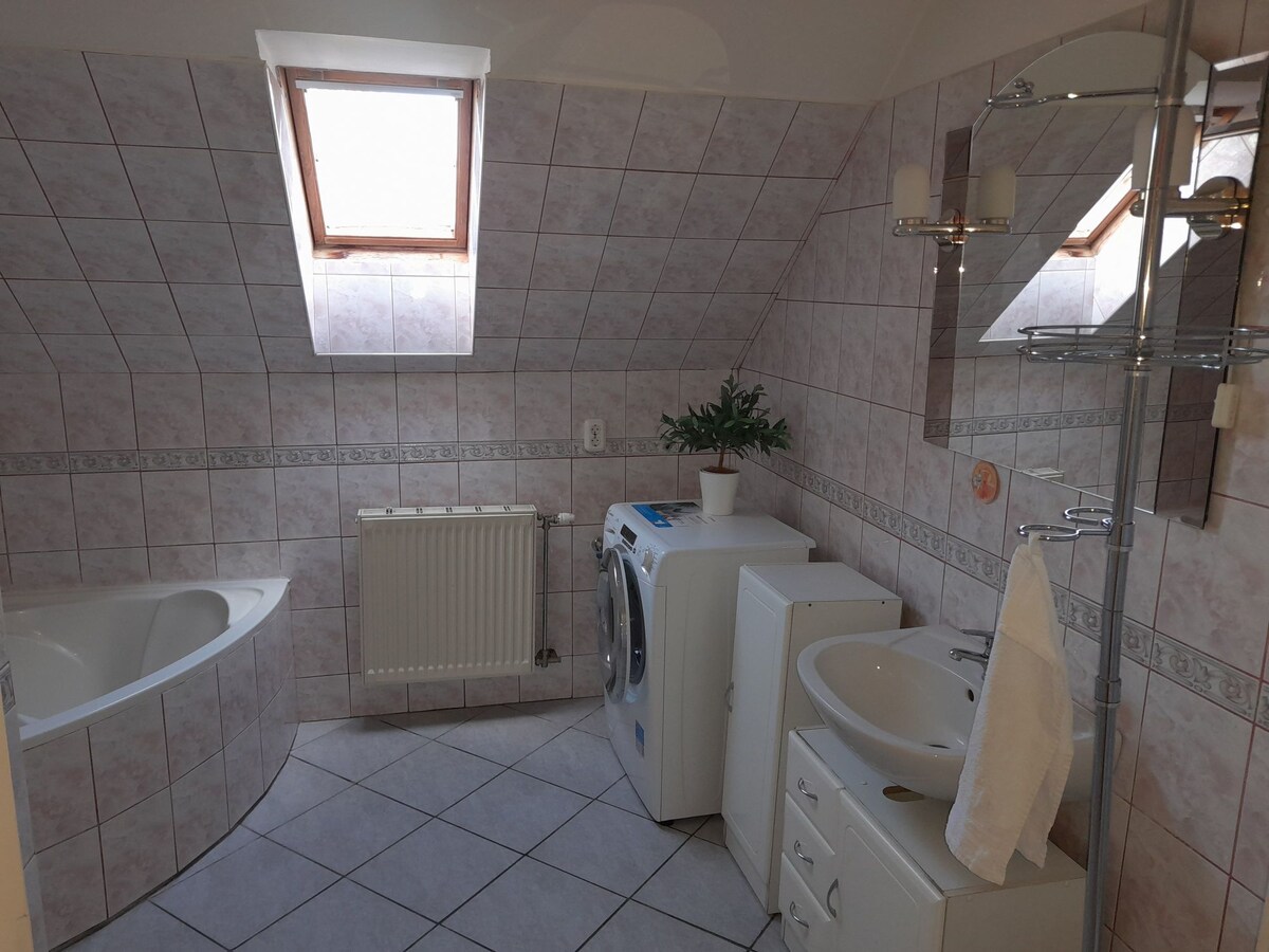 A spacious bathroom features a bathtub and a washing machine alongside a sink with storage underneath. Natural light filters through an angled skylight, illuminating the pale tiled walls. A plant adds a touch of greenery, while a towel hangs neatly on a rack.