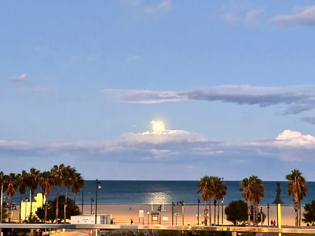 Wonderful house. In the city front the sea gallery image 2