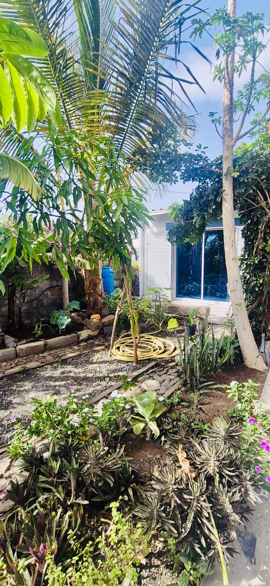 A tranquil outdoor space is surrounded by lush greenery, featuring tropical plants and flowering shrubs. A stone pathway meanders through the garden, leading towards a bright blue door. Sunlight filters through the leaves, creating dappled patterns on the ground.