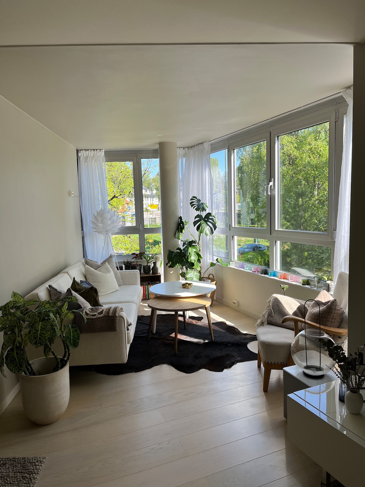 A bright living area is presented with large windows allowing natural light to fill the space. A comfortable sofa is paired with a round coffee table, and decorative plants add greenery. Soft textures are seen in the area rug and chair upholstery, enhancing the inviting environment.