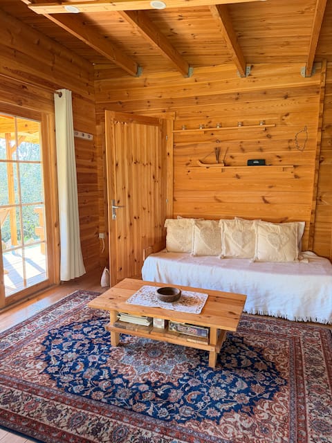 Top performing Airbnb: Chalet l’Alivu in Coti Chiavari