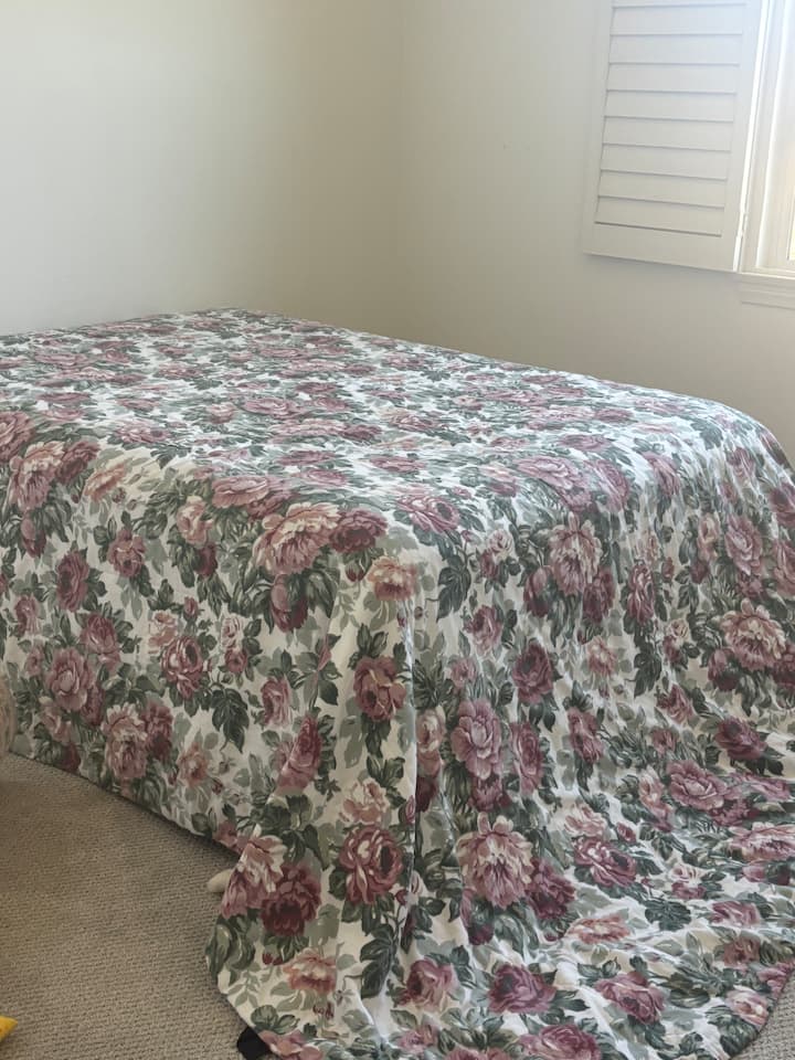 Cozy Bedroom With Homy Feel - San Marcos, CA